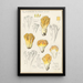 Clavaria aurea Schff - Hans Baldung — quadro incorniciato alla parete