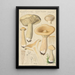 Clitocybe geotropa Bulliard - Hans Baldung — quadro incorniciato alla parete