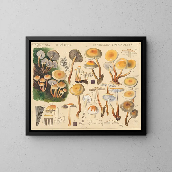Hypholoma capnoides - Hans Baldung — quadro incorniciato alla parete