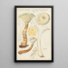 Lentinus suffrutescens - Hans Baldung — quadro incorniciato alla parete