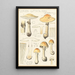 Lepiota guttata pers - Hans Baldung — quadro incorniciato alla parete