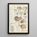 Limacium agathosmum - Hans Baldung — quadro incorniciato alla parete