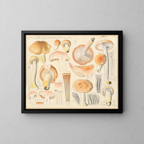 Limacium glutiniferum - Hans Baldung — quadro incorniciato alla parete
