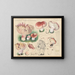 Limacium russula - Hans Baldung — quadro incorniciato alla parete