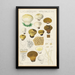 Lycoperdon hyemale - Hans Baldung — quadro incorniciato alla parete