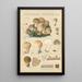 Lycoperdon piriforme - Hans Baldung — quadro incorniciato alla parete