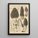 Morchella elata - Hans Baldung — quadro incorniciato alla parete