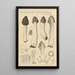 Morchella rimosipes - Hans Baldung — quadro incorniciato alla parete