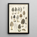Morchella vulgaris - Hans Baldung — quadro incorniciato alla parete