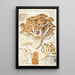 Polyporus ramosissimus Schff - Hans Baldung — quadro incorniciato alla parete
