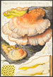 Polyporus sulfureus Bull Fr - Hans Baldung — vista dell’opera