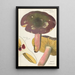 Russula olivacea schff - Hans Baldung — vista dell’opera