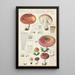 Russula seperina - Hans Baldung — quadro incorniciato alla parete