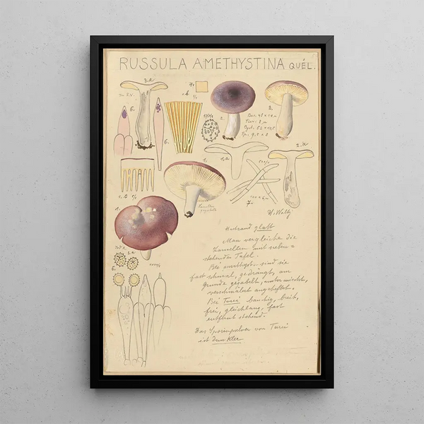 Russula amethystina - Hans Baldung | Reproduction — quadro incorniciato alla parete