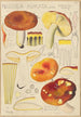 Russula aurata - Hans Baldung — vista dell’opera