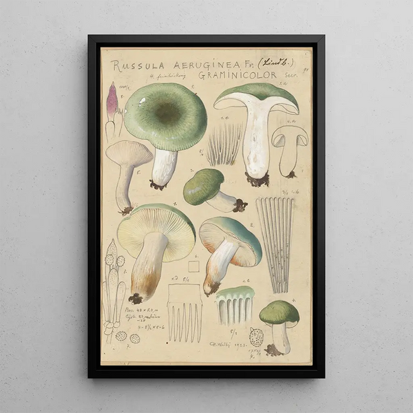 Russula aureginea - Hans Baldung — quadro incorniciato alla parete