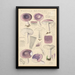 Russula azurea - Hans Baldung — quadro incorniciato alla parete