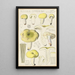 Russula citrina - Hans Baldung — quadro incorniciato alla parete