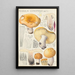 Russula constans - Hans Baldung — quadro incorniciato alla parete