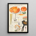 Russula decolorans Fr - Hans Baldung — quadro incorniciato alla parete