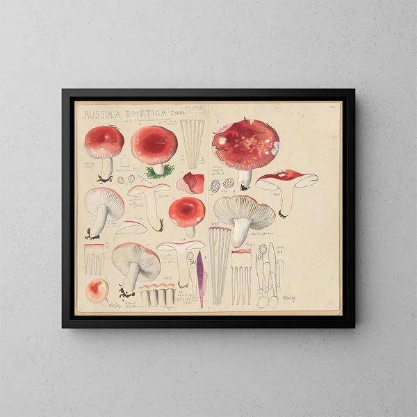 Russula emetica - Hans Baldung — quadro incorniciato alla parete