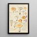 Russula fellea - Hans Baldung — quadro incorniciato alla parete