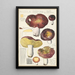 Russula integra L Forma montana - Hans Baldung — quadro incorniciato alla parete