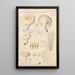 Russula lactea - Hans Baldung — quadro incorniciato alla parete