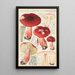 Russula linnaei - Hans Baldung — quadro incorniciato alla parete