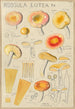 Russula lutea - Hans Baldung — vista dell’opera