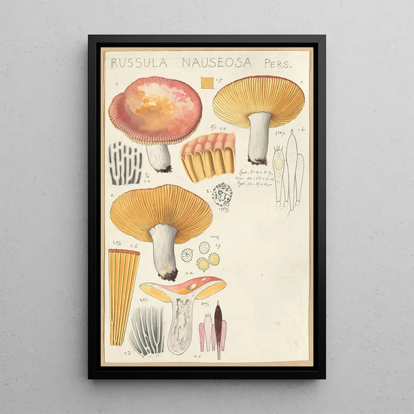 Russula nauseosa - Hans Baldung — quadro incorniciato alla parete
