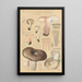 Russula nigricans - Hans Baldung — quadro incorniciato alla parete