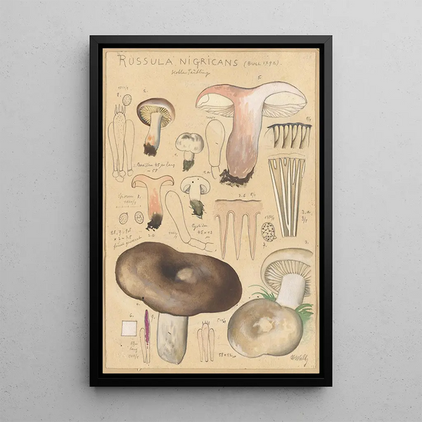 Russula nigricans - Hans Baldung — quadro incorniciato alla parete