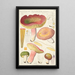 Russula olivacea schff - Hans Baldung — quadro incorniciato alla parete
