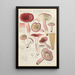 Russula rosacea - Hans Baldung — quadro incorniciato alla parete