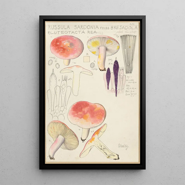 Russula sardonia - Hans Baldung — quadro incorniciato alla parete