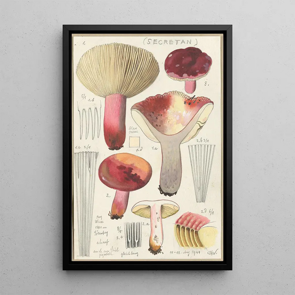 Russula secretan - Hans Baldung — quadro incorniciato alla parete