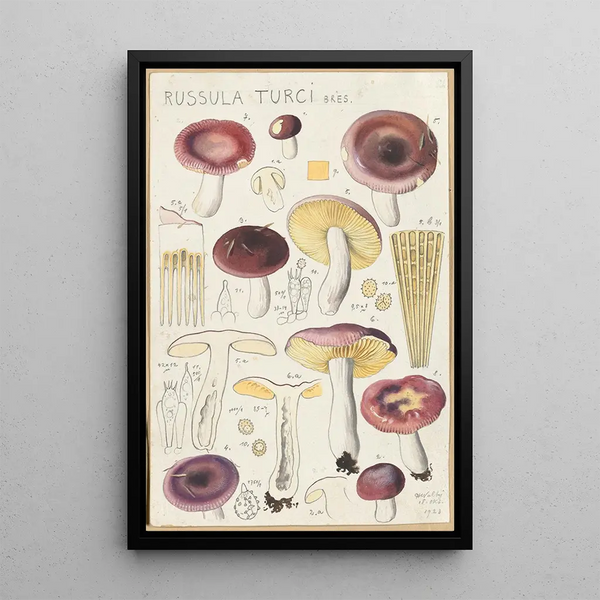 Russula turci - Hans Baldung — quadro incorniciato alla parete