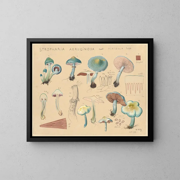 Stropharia aeruginosa var. viridula - Hans Baldung — quadro incorniciato alla parete