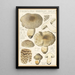 Tricholoma pardinum quelet - Hans Baldung — quadro incorniciato alla parete