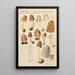 Verpa digitaliformis - Hans Baldung — quadro incorniciato alla parete