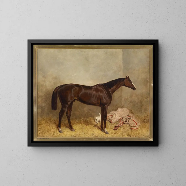 Prince Charlie - Harald R. Hall — quadro incorniciato alla parete