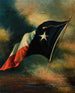 Drapeau del Texas - Harco Schutter — vista dell’opera