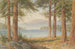 Attraverso gli alberi - Harold Sutton Palmer — vista dell’opera