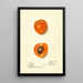 Prunus mume Sharpe - Harriet L Thompson — quadro incorniciato alla parete