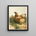 Poule Cochin chamois - Harrison Weir — quadro incorniciato alla parete