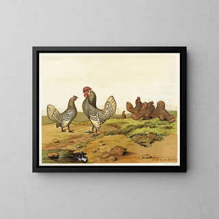 Bantams dorati e argentati - Harrison Weir — quadro incorniciato alla parete