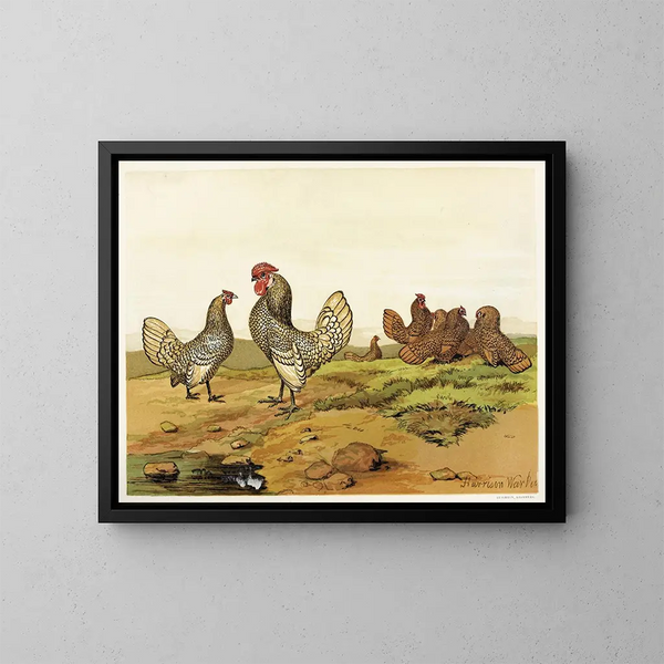 Bantams dorati e argentati - Harrison Weir — quadro incorniciato alla parete