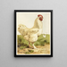 Coq Cochin bianco - Harrison Weir — quadro incorniciato alla parete