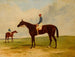 M. John Gully e Andover, vincitore del Derby del 1854 - Harry Hall — vista dell’opera